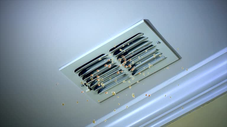 Best HVAC Duct Inspection Services  in Ocean Springs, MS