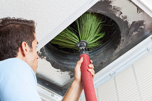 Best Air Duct Sanitizing Services  in Ocean Springs, MS